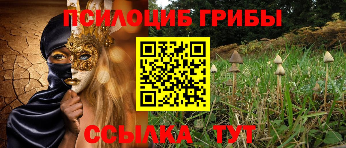 Муром  Галлюциногенные грибы Cubensis  где можно купить наркотик  Вход с VPN 